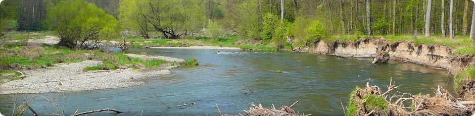 Unie pro řeku Moravu